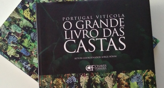 Newsletter n.º 46 - Foto 3